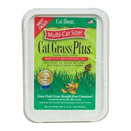 Cat A'bout Cat Grass Plus MiracleCorp Products